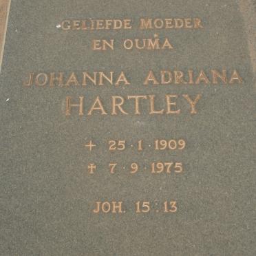HARTLEY Johanna Adriana 1909-1975