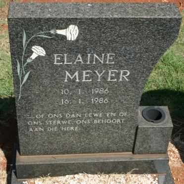 MEYER Elaine 1986-1986