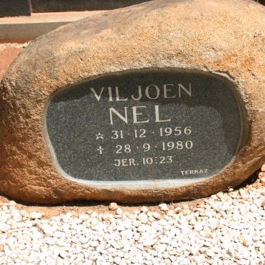 NEL Viljoen 1956-1980