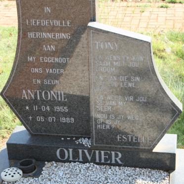 OLIVIER Antonie 1955-1989
