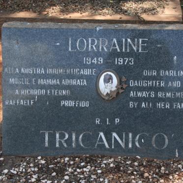 TRICANICO Lorraine 1949-1973