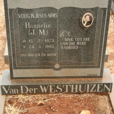 WESTHUIZEN J.M., van der 1973-1985