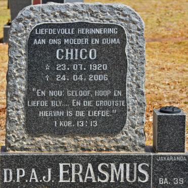 ERASMUS D.P.A.J. 1920-2006