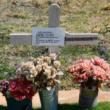 HATTINGH Noël 1955-2011