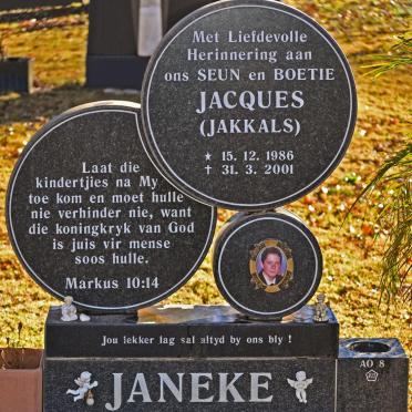 JANEKE Jacques 1986-2001