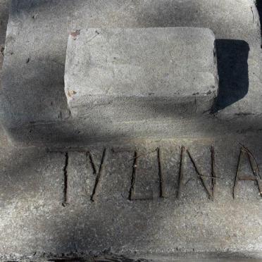 ? Tyzina