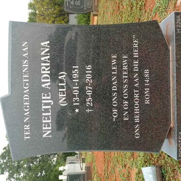 NIESING Neeltje Adriana 1951-2016
