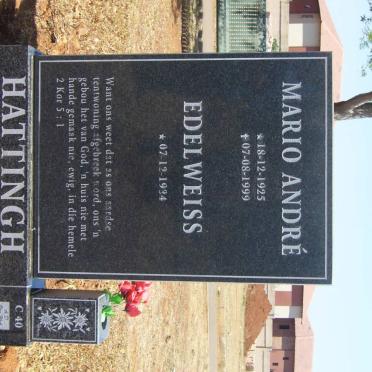 HATTINGH Mario André 1925-1999 &amp; Edelweiss 1934-