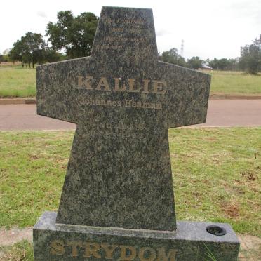 STRYDOM Johannes Hauman 1955-2001