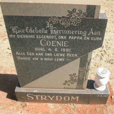 STRYDOM Coenie -1981