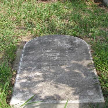 BERGSMA TH. P. 1856-1903