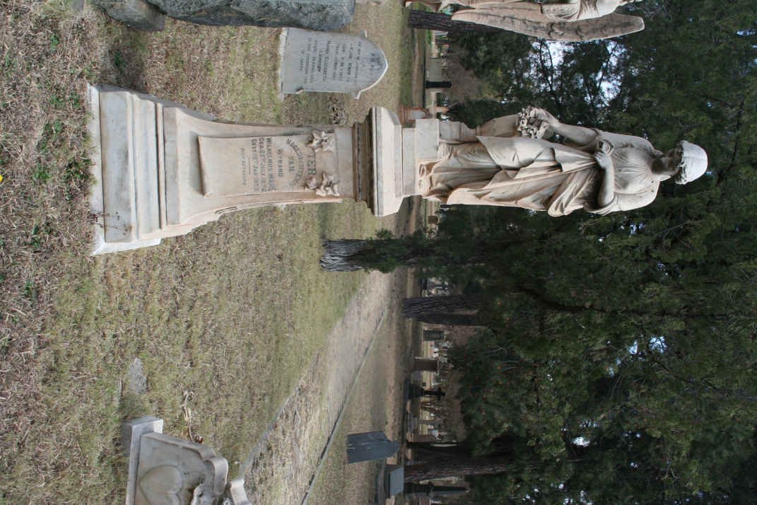 MARÉ Wynand Wilhelmus 1856-1895
