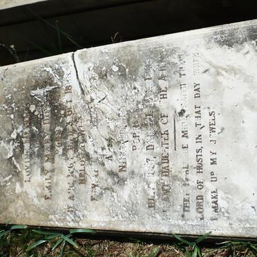 MEINTJES Emily Mary Dorey 1864-1888 :: MEINTJES Nina Dorey 1887-1888