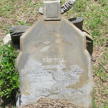 PRISCOTT Emily -1896