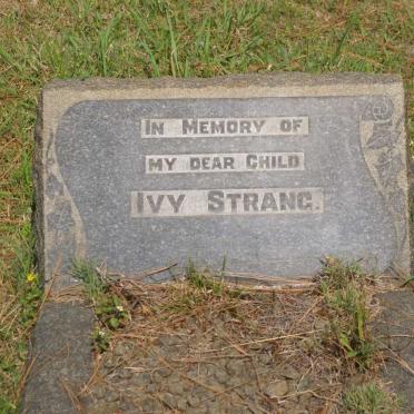 STRANG Ivy