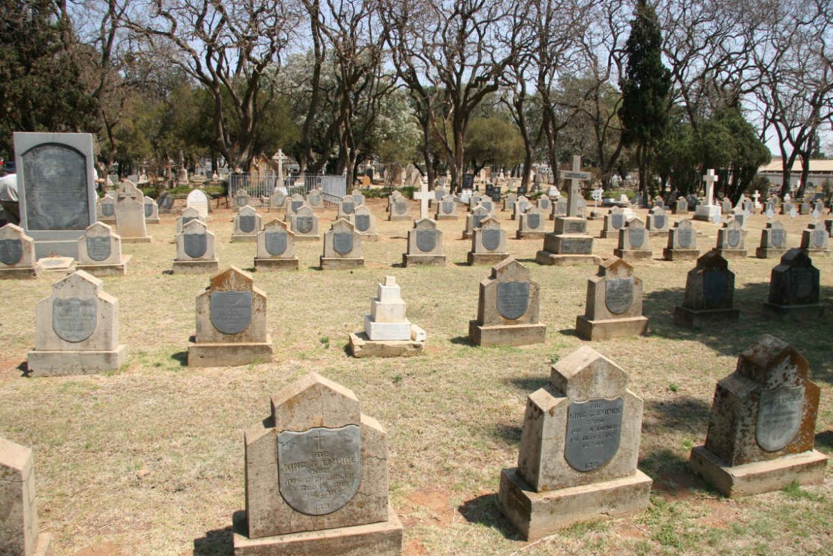 Overview on the 50 graves