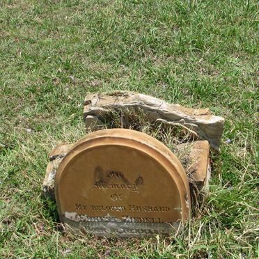 ZIEBELL Ernest 1857-1889