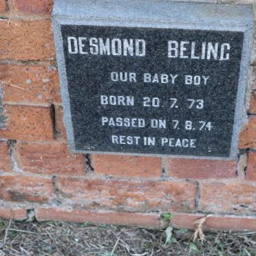 BELING Desmond 1973-1974