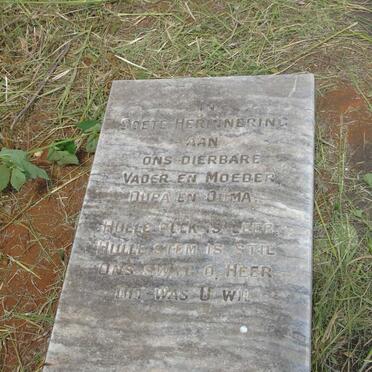 7. Unknown :: Illegible graves