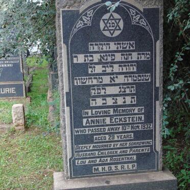 E-Surnames _ Vanne-E