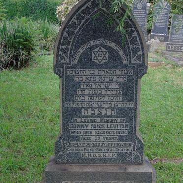 LEVITAN Sonny Faige -1926