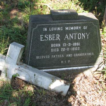 ANTONY Esber 1881-1962