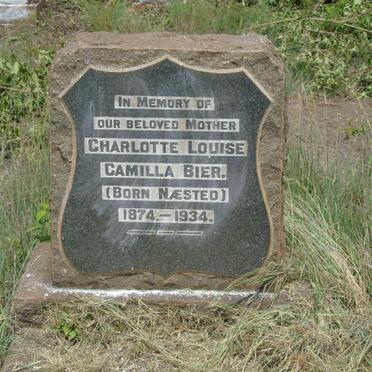 Bi - Surnames starting with the letters Bi