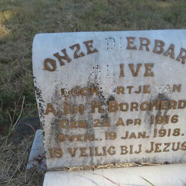 BORCHERDS Olive 1916-1918