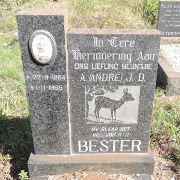 BESTER A.J.D. 1964-1965