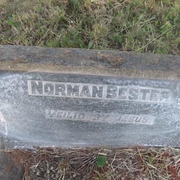 BESTER Norman 