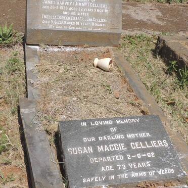 CELLIERS Susan Maggie -1962 :: CELLIERS James Harvey -1938 :: FRASER Theresa Doreen nee CELLIERS -1939 _1