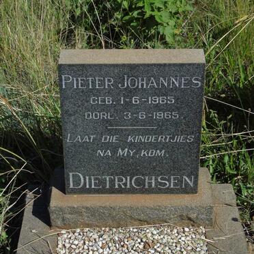 DIETRICHSEN Pieter Johannes 1965-1965