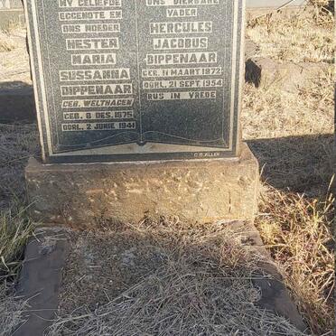 DIPPENAAR Hercules Jacobus 1872-1954 &amp; Hester Maria Sussanna WELTHAGEN 1875-1941