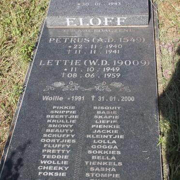 ELOFF Jacoba Wilhelmina 1943- :: ELOFF Petrus 1940-1941 :: ELOFF Lettie 1949-1959