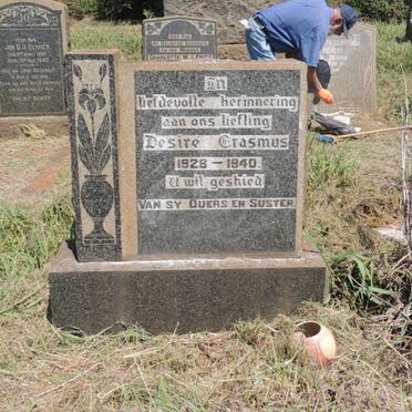 ERASMUS Desire 1928-1940