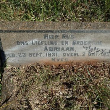 K - Surnames :: Vanne - K