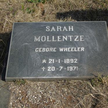 MOLLENTZE Sarah nee WHEELER 1892-1971