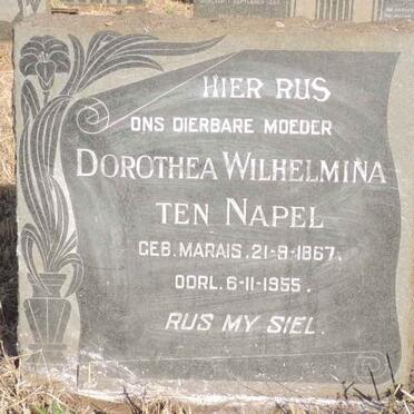 NAPEL Dorothea Wilhelmina, ten nee MARAIS 1867-1955