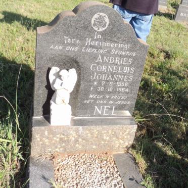 NEL Andries Corneluis Johannes 1956-1964