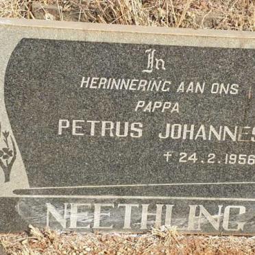 NEETHLING Petrus Johannes -1956