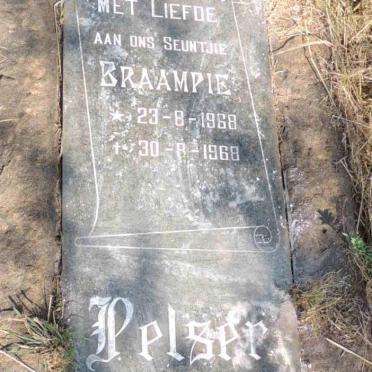 PELSER Braampie 1968-1968
