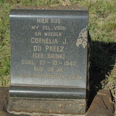 PREEZ Cornelia J., du nee BRINK -1943