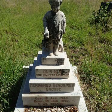 SACHSE Hermanus Hendrikus 1946-1946