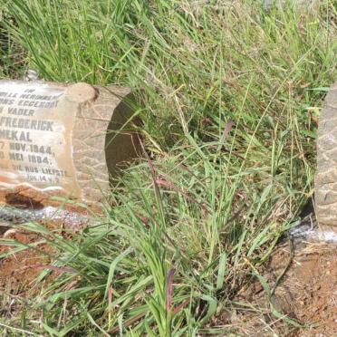 SENEKAL David Frederick 1884-1944 &amp; Renske Maria V.D. SCHIJFF 1890-1967