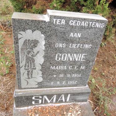 SMAL Maria C.E.M. 1951-1952