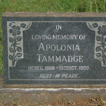 TAMMADGE Apolonia 1888-1938