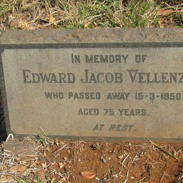 VELLENZER Edward Jacob -1950