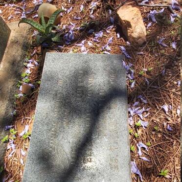 VERSFELD Johanna Catherine Elizabeth Jossie 1865-1962