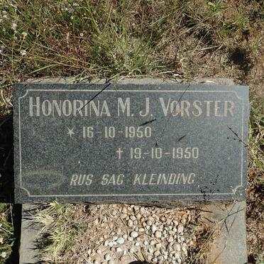 VORSTER Honorina M.J. 1950-1950