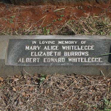 WHITELEGGE :: BURROWS